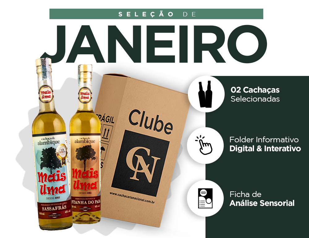 Banner Caixa detalhado JANEIRO